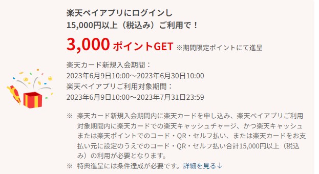 楽天ペイ利用でポイントが貰えるキャンペーンが開催される場合もある